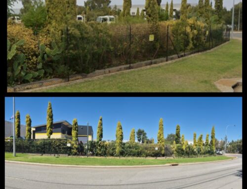 Garden Improvements at the LR Hotshots Wangara Yard